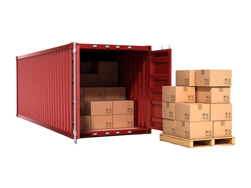 WhatsApp Image 2025-12-17 at 14.19.40